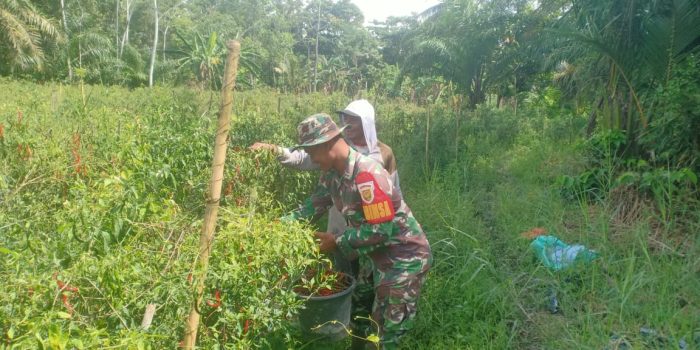 WhatsApp Image 2025-03-01 at 12.14.04