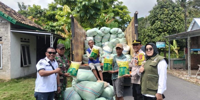 WhatsApp Image 2025-03-08 at 14.04.12