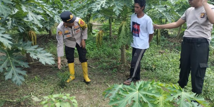 WhatsApp Image 2025-03-08 at 14.08.02