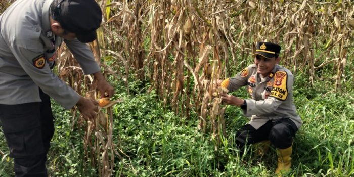 WhatsApp Image 2025-03-11 at 12.12.51