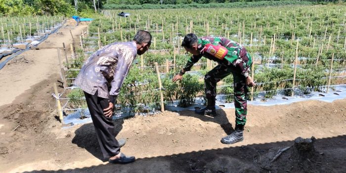 WhatsApp Image 2025-03-24 at 04.43.50