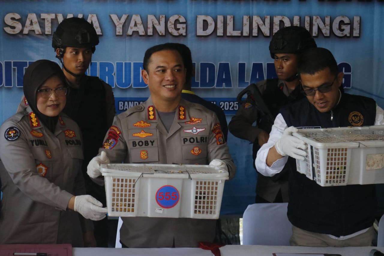 WhatsApp Image 2025-04-26 at 11.31.24