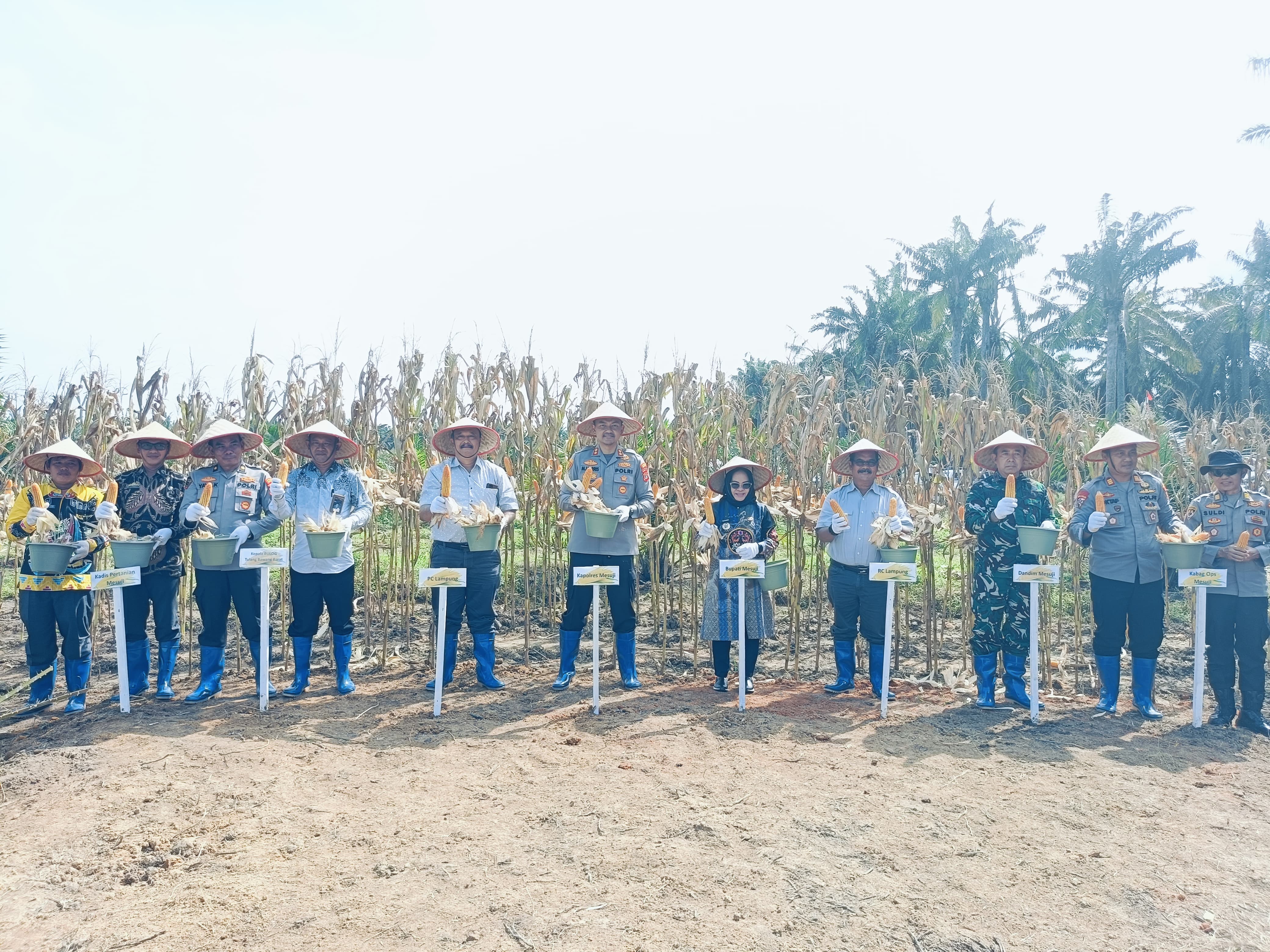 WhatsApp Image 2025-06-05 at 12.00.18