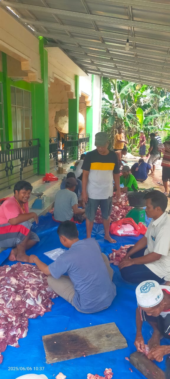 WhatsApp Image 2025-06-06 at 11.23.49