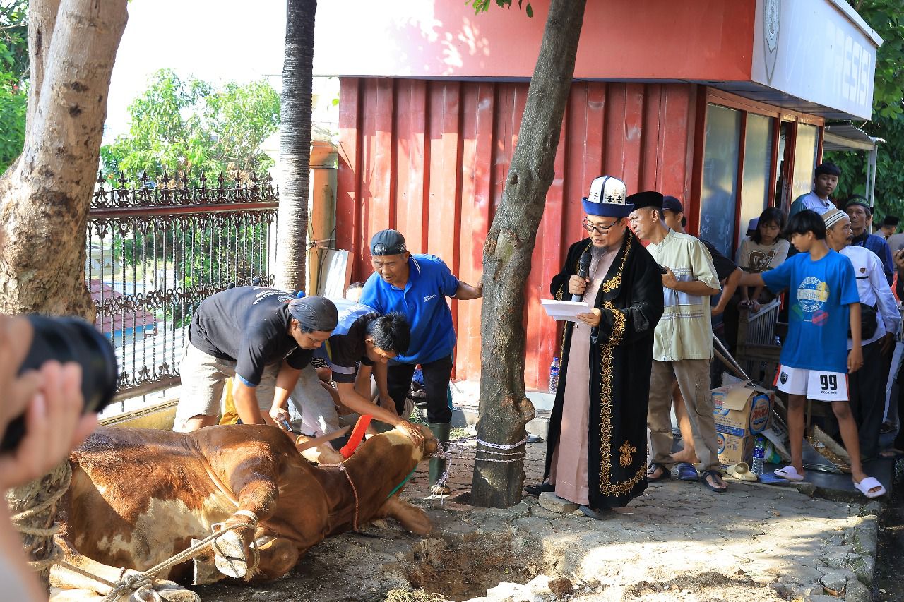 WhatsApp Image 2025-06-06 at 19.56.22 (2)