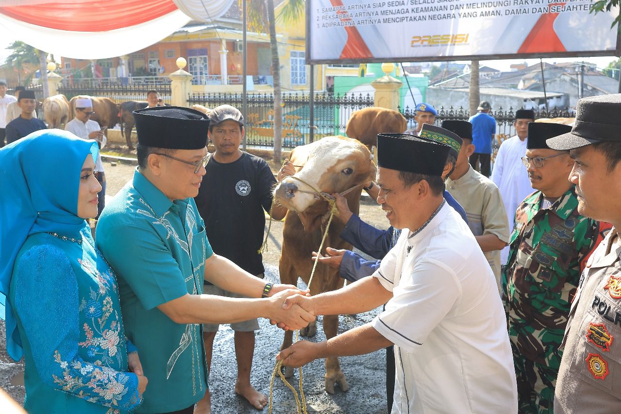 WhatsApp Image 2025-06-06 at 19.56.22